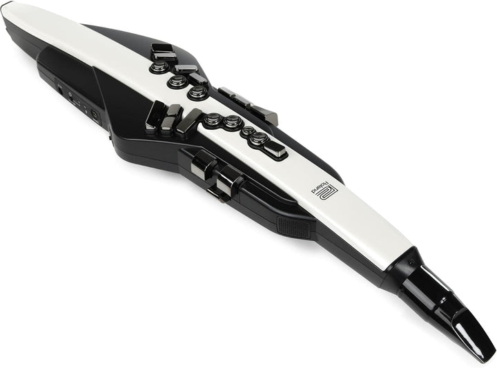 Roland Aerophone AE-20 Digitales Blasinstrument Schwarz