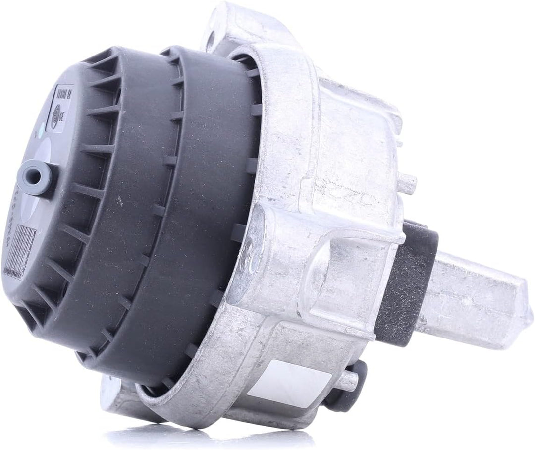 Corteco 80004460 Lagerung, Motor