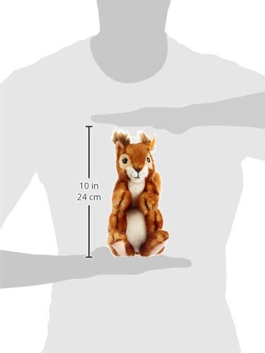 Steiff Niki Eichhörnchen - 21 cm - Kuscheltier für Kinder - weich & waschbar - rotbraun (045141), Ro