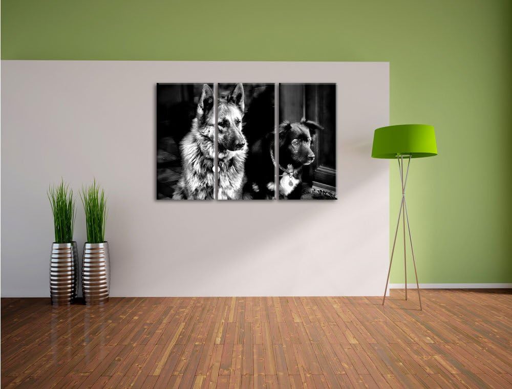Pixxprint Zwei Hunde auf dem Teppich als Leinwandbild/Grösse: 3 Teilig (120x80) cm/Wandbild/Kunstdru