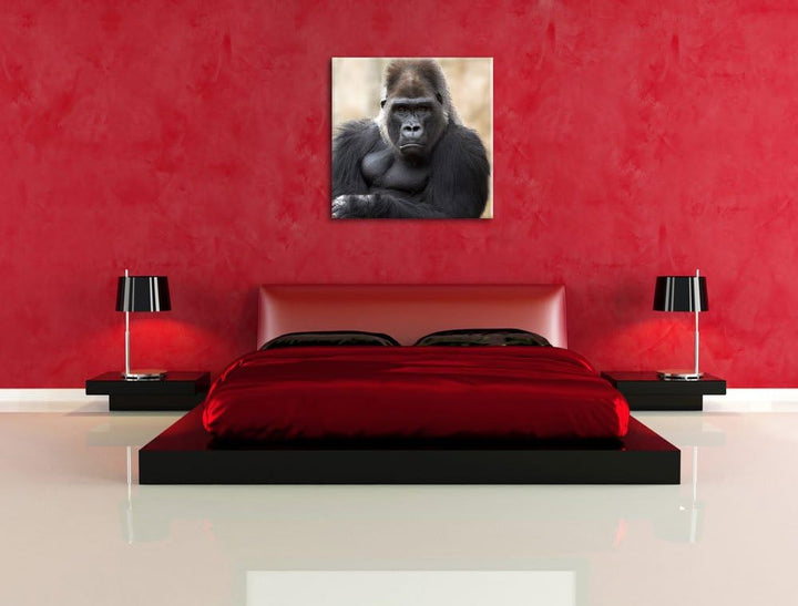 gelangweilter Gorilla, Format: 70x70 auf Leinwand, XXL riesige Bilder fertig gerahmt mit Keilrahmen,