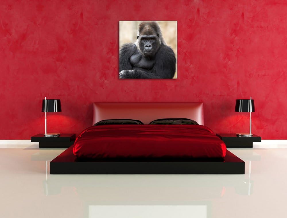 gelangweilter Gorilla, Format: 70x70 auf Leinwand, XXL riesige Bilder fertig gerahmt mit Keilrahmen,