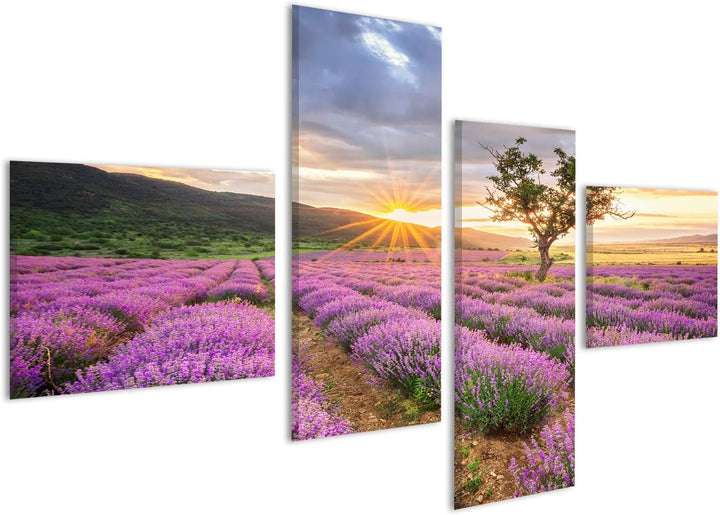 islandburner Bild Bilder auf Leinwand atemberaubende Landschaft mit Lavendelfeld bei Sonnenaufgang W