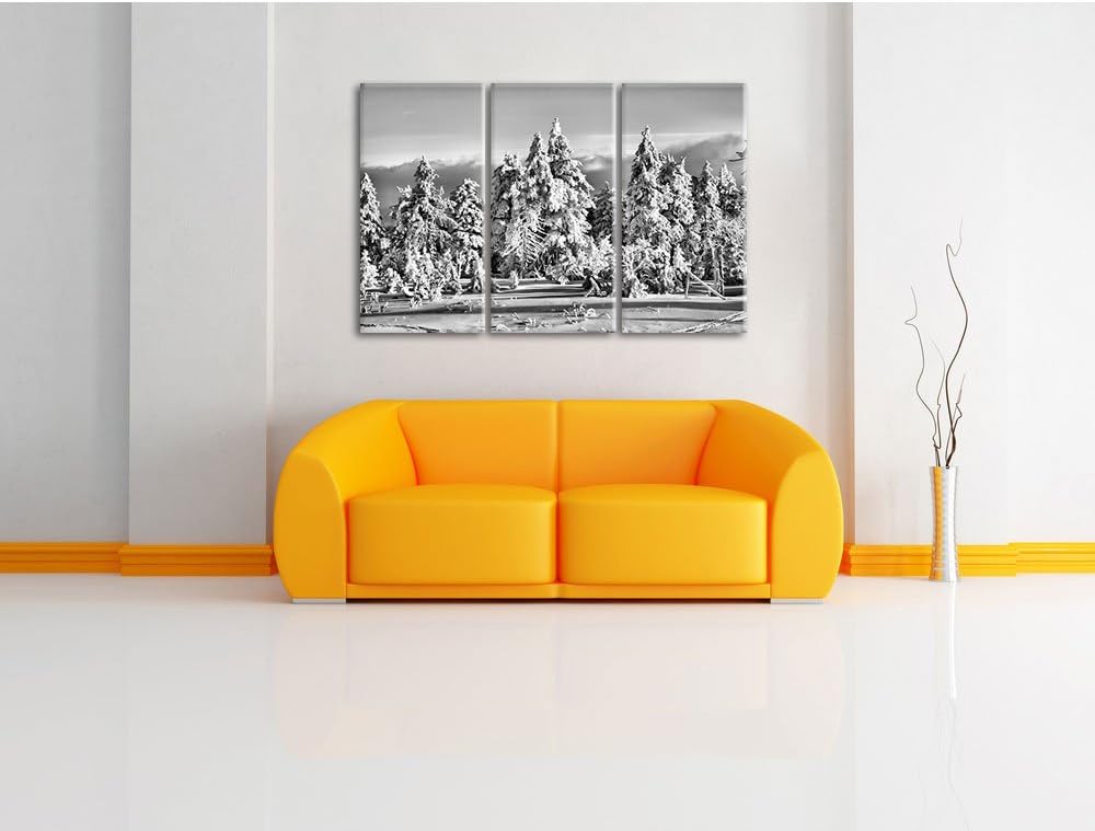 Pixxprint Winterwald als Leinwandbild/Grösse: 3 Teilig (120x80) / Wandbild/Kunstdruck/fertig bespann