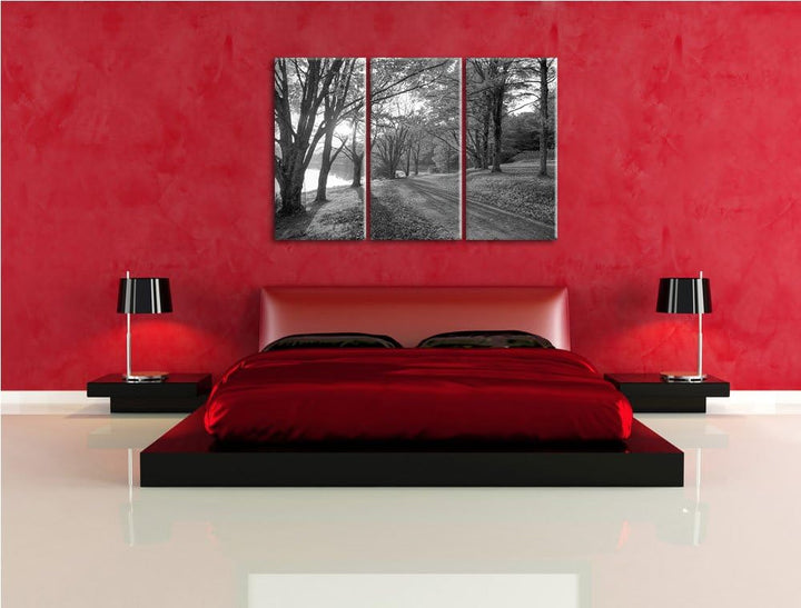 Herbstlicher Park am See schwarz/weiss 3-Teiler Leinwandbild 120x80 Bild auf Leinwand, XXL riesige B