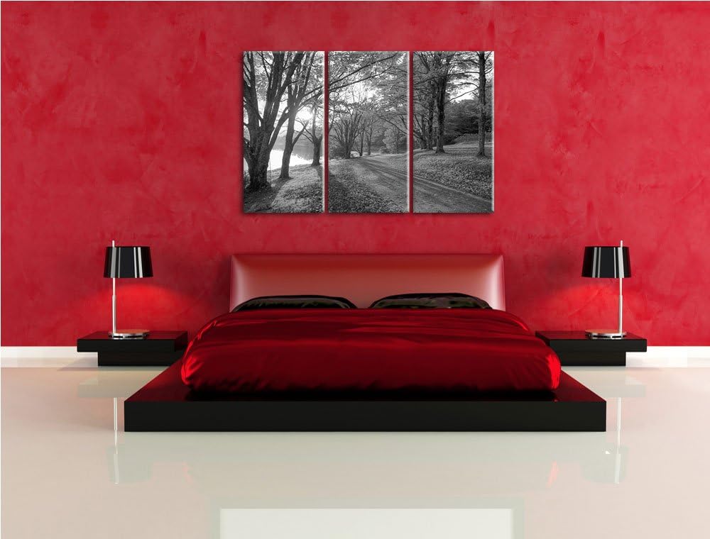 Herbstlicher Park am See schwarz/weiss 3-Teiler Leinwandbild 120x80 Bild auf Leinwand, XXL riesige B