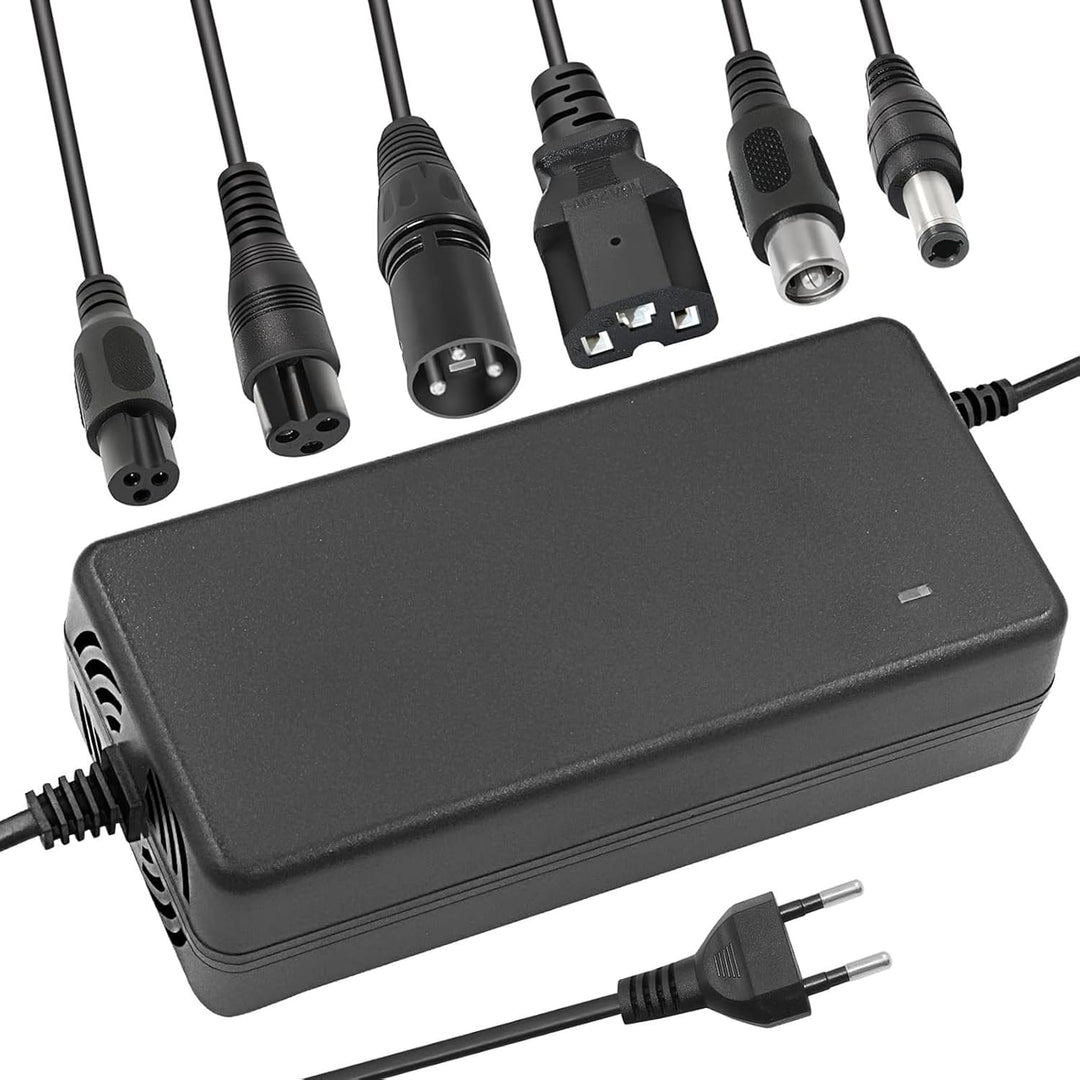 UURRPP 54.6V 2A Li-ion Ladegerät Mehrere Stecker Für Elektrofahrrad Roller E-Bike Boot Motorrad Akku