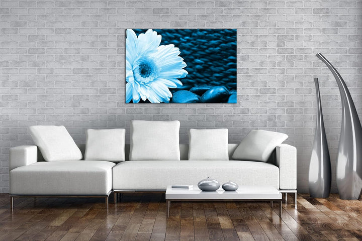 deyoli Weisse Gerbera Format: 100x70 Effekt: Monocrome Blau als Leinwandbild, Motiv fertig gerahmt a