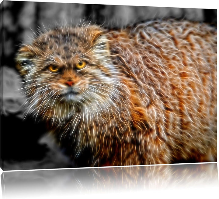 gereizte kleine Manul schwarz/weiss Deluxe Format: 100x70 cm auf Leinwand, XXL riesige Bilder fertig