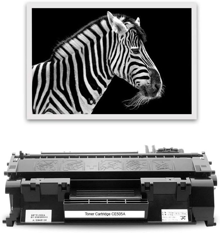 ZOOMTEC Kompatibel Toner für CE505A 05A für Laserjet P2030, Laserjet P2035 P2035N, Laserjet P2050 La