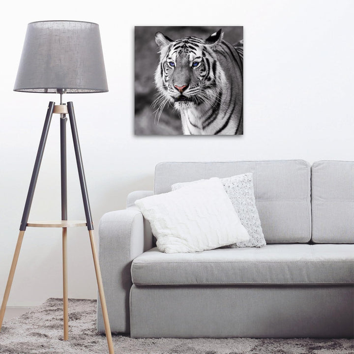 Eurographics 50x50, DG-DT50001 Tiger with Blue Eyes Glasbild, Glas, grau, 50 x 50 x 2 cm, Dg-dt50001