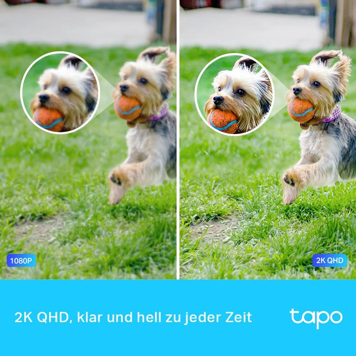 TP-Link Tapo C320WS Überwachungskamera Aussen, WLAN IP Kamera, 4MP Hochauflösung, 30m Vollfarb-Nacht