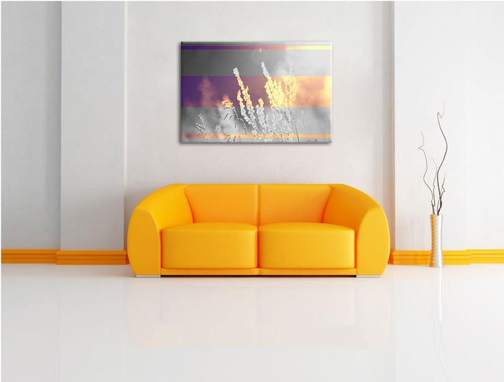 Gräser bei abendlicher Dämmerung schwarz/weiss Format: 100x70 auf Leinwand, XXL riesige Bilder ferti