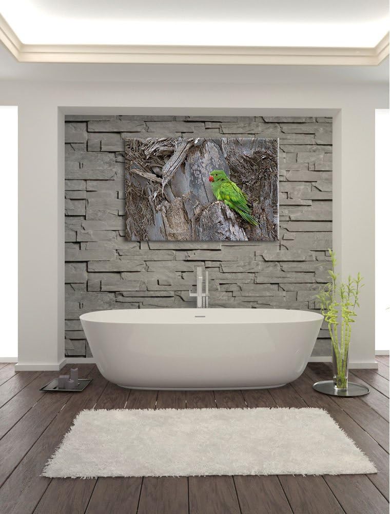 grüner Papagei im Gehölz Leinwand, XXL riesige Bilder fertig gerahmt mit Keilrahmen, Kunstdruck auf