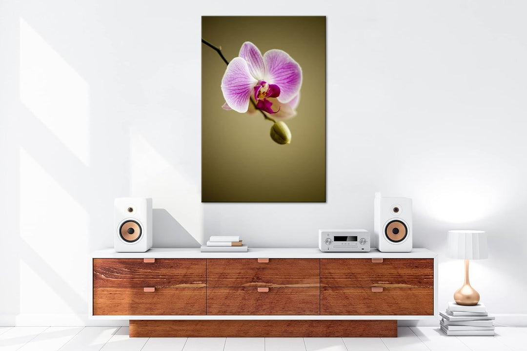 deyoli zauberhafte Orchidee Format: 100x70 als Leinwandbild, Motiv fertig gerahmt auf Echtholzrahmen