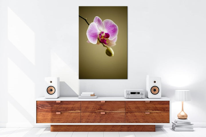 deyoli zauberhafte Orchidee Format: 100x70 als Leinwandbild, Motiv fertig gerahmt auf Echtholzrahmen