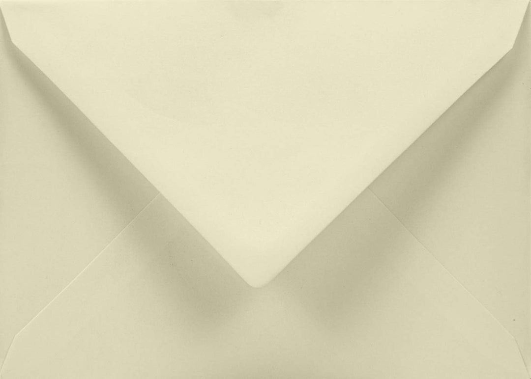 Netuno 50 Umschläge Elfenbein DIN C5 162 x 229mm 120g Aster Smooth Ivory Briefumschläge nassklebend