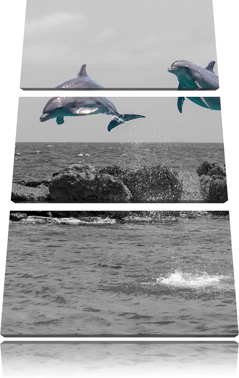 Pixxprint Zwei hoch springende Delphine als Leinwandbild/Grösse: 3 Teilig (120x80 cm) cm/Wandbild/Ku
