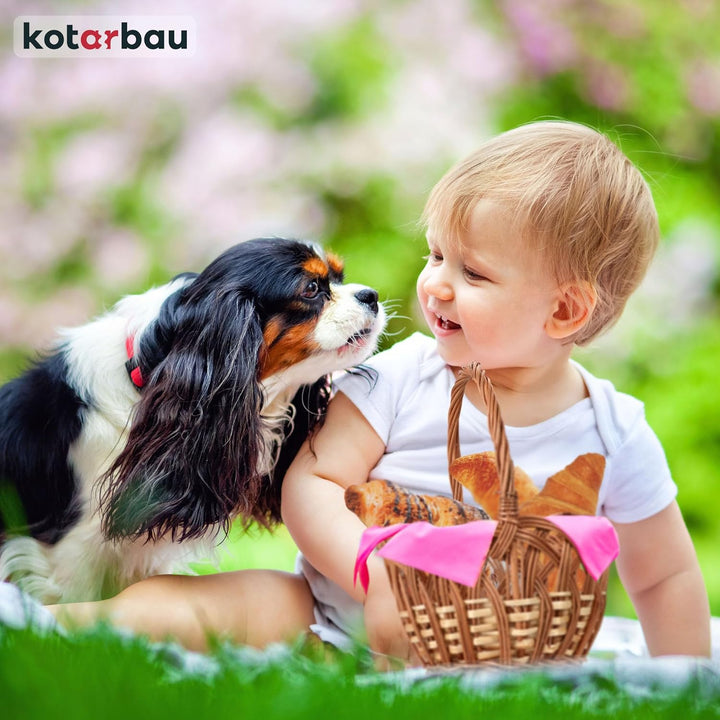 KOTARBAU® Weidenkorb mit Henkel Kinder Osterkorb mit Henkel Klein Rund 250 x 170 mm Osterkorb Weide