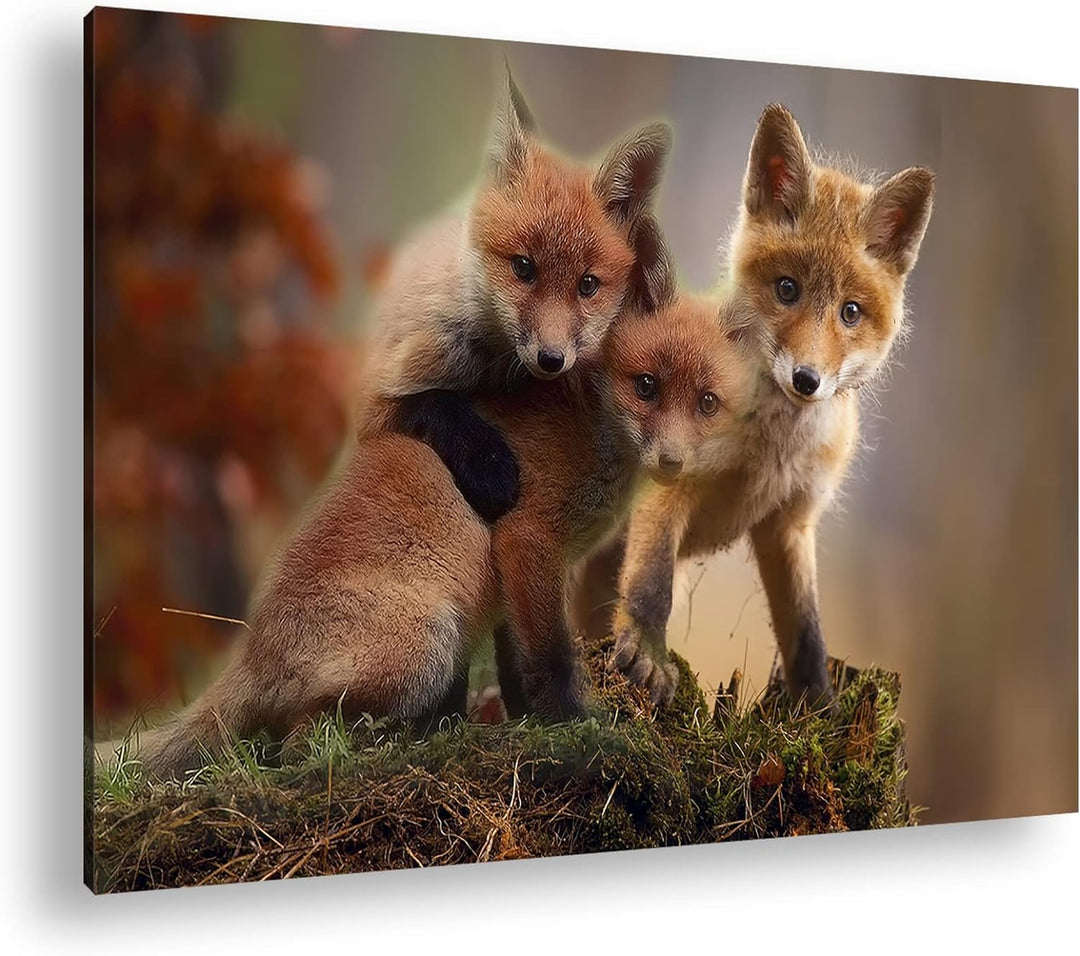deyoli Kleine Familie von Rotfüchsen Format: 100x70 als Leinwand, Motiv fertig gerahmt auf Echtholzr