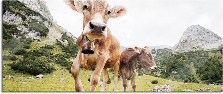 Glasbild Panorama | Wandbild aus Echtglas | Almkuh auf der Weide | 100x40 cm | inkl. Aufhängung und