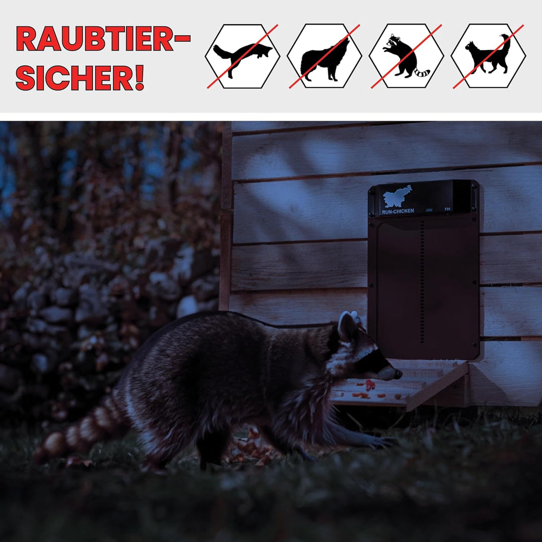 Run Chicken Model T50, Automatic Chicken Coop Door, Full Aluminum Doors, Light Sensing, Evening and