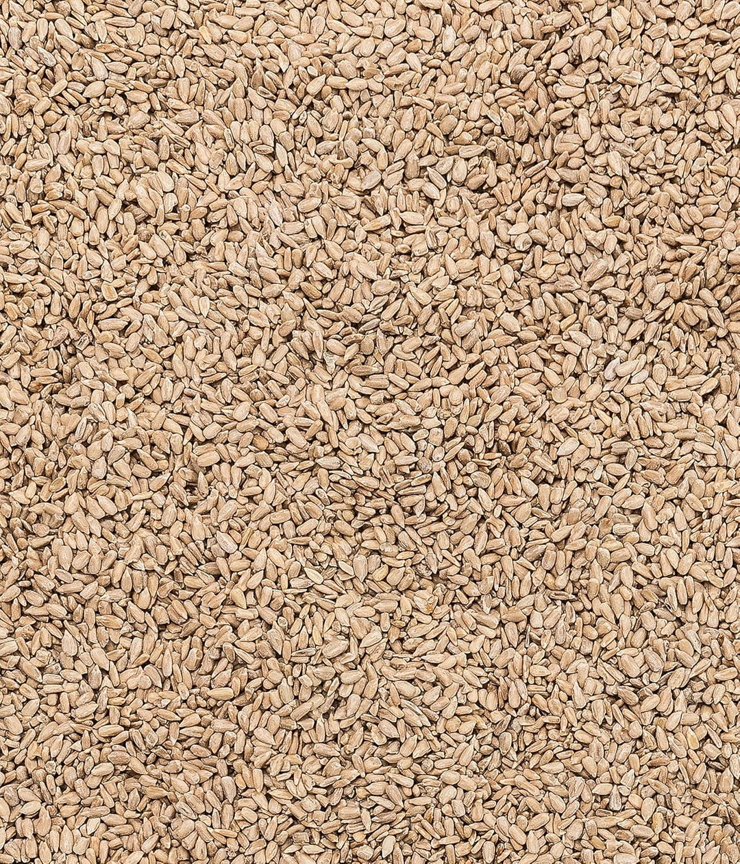 Dehner Natura Wildvogelfutter, geschälte Sonnenblumenkerne, 10 kg geschälte Sonnenblumenkerne 10 kg