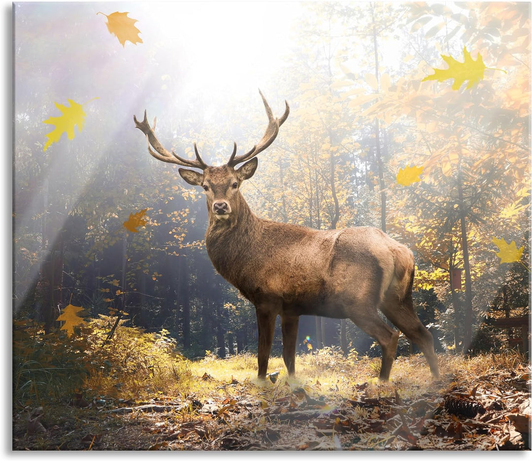 Hirsch im Wald mit fallenden Blättern Herdabdeckplatte & Spritzschutz aus Echtglas | Für Herd-Kochfe
