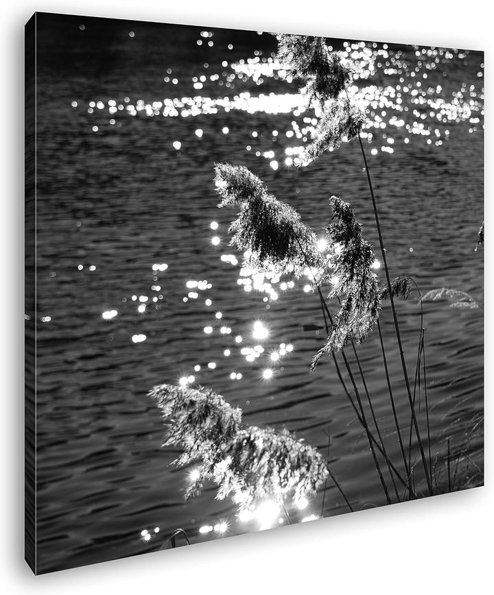 deyoli Schilf mit schimmernden Wasser im Format: 70x70 Effekt: Schwarz&Weiss als Leinwandbild, Motiv