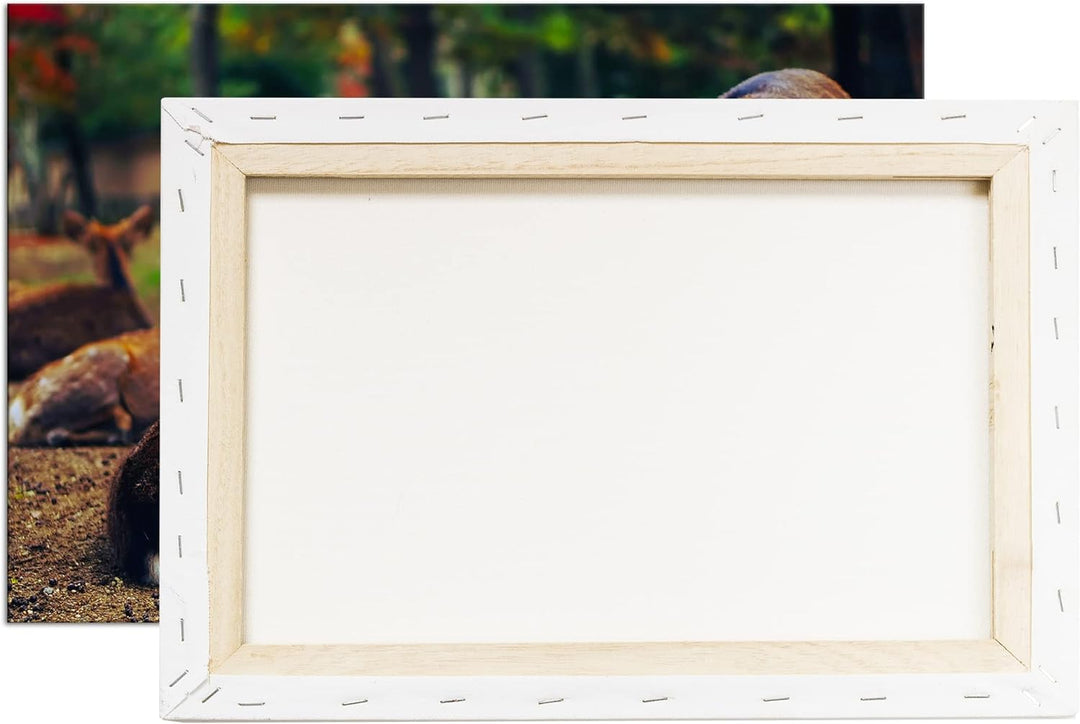 deyoli süsse Rehe im Wildgehege Format: 80x60 als Leinwand, Motiv fertig gerahmt auf Echtholzrahmen,