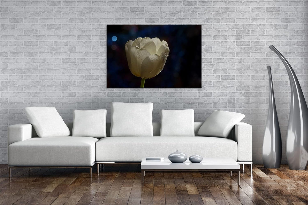 deyoli schneeweisse Tulpe Format: 80x60 als Leinwandbild, Motiv fertig gerahmt auf Echtholzrahmen, H