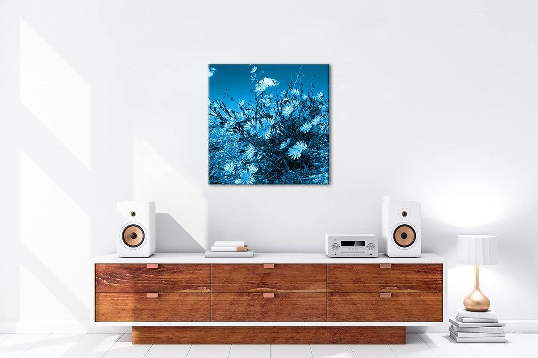 deyoli Kornblumen im Frühling Format: 70x70 Effekt: Monocrome Blau als Leinwandbild, Motiv fertig ge