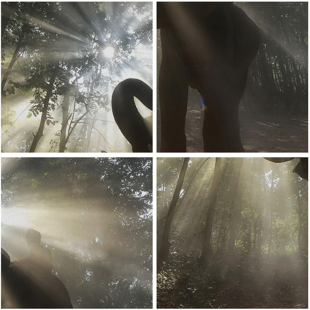 Bilder auf Leinwand 100x70cm Leinwandbild mit Rahmen Elefant Dschungel Gross Wanddeko Bild Schlafzim