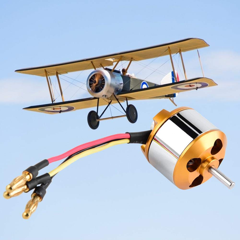 Dilwe RC-Motor, Motor-2814 1000 / 1400KV 2kg Schub 3-4S Motor für Starrflügel-RC-Flugzeug(1000 kV),