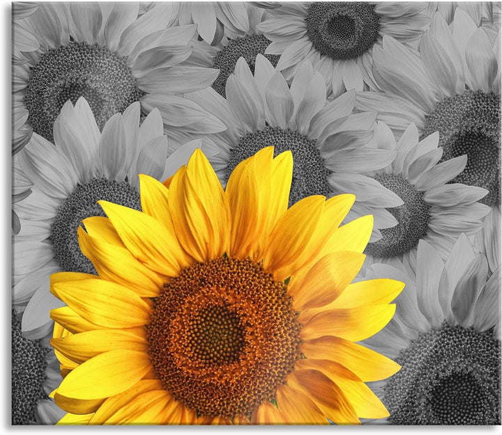 schöne Sonnenblumen Herdabdeckplatte & Spritzschutz aus Echtglas | Für Herd-Kochfelder | 60x52 cm