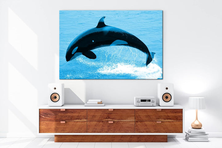 deyoli verspielter Orca Format 100x70 Effekt: Monocrome Blau als Leinwandbild, Motiv fertig gerahmt