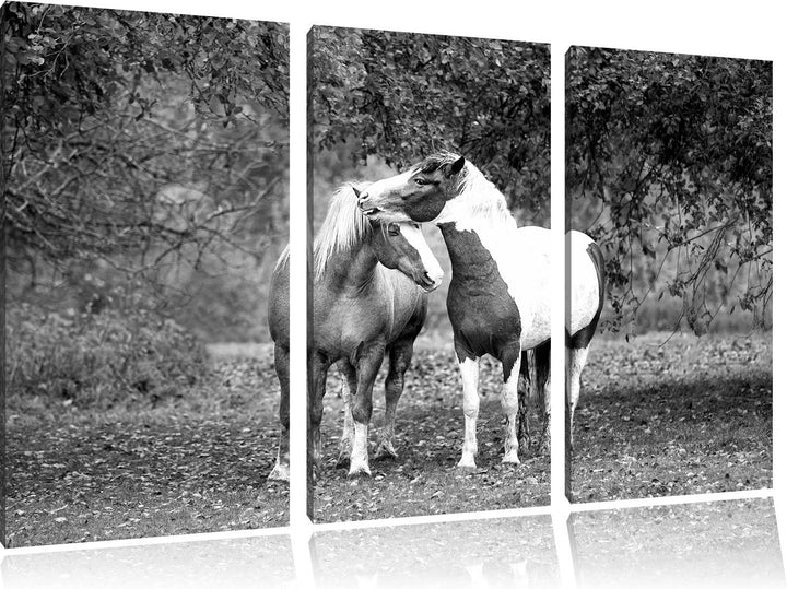 Pixxprint Zwei schmusende Pferde Kunst B&W als Leinwandbild/Grösse: 3 Teilig (120x80) cm/Wandbild/Ku
