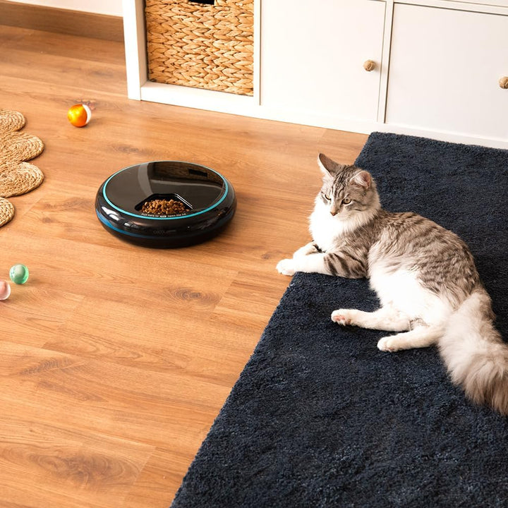 Cecotec Pumba 1600 Purrfect Meal Automatischer Futterspender für Haustiere, Fassungsvermögen 1,6 l,