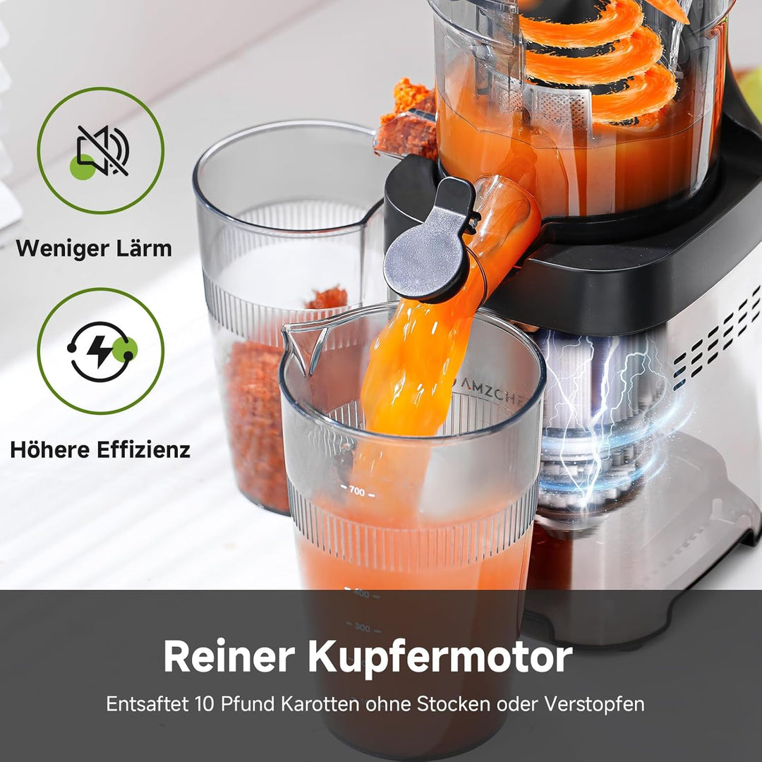 AMZCHEF Entsafter - Slow Juicer mit 113MM Breite und Grössere Fütterungsröhre für Ganze Gemüse und O