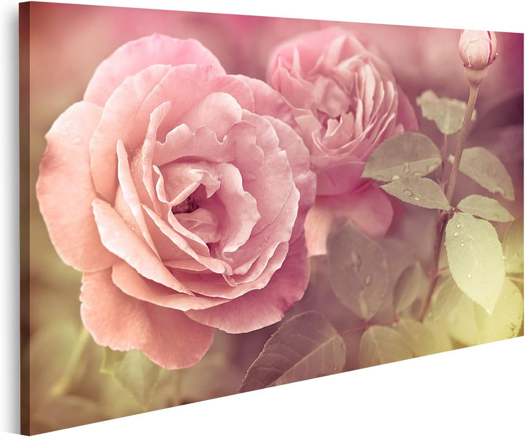 islandburner Bild auf Leinwand Abstrakt Romantisch Rosa Rosen Blumen Wassertropfen Floral Bilder Wan