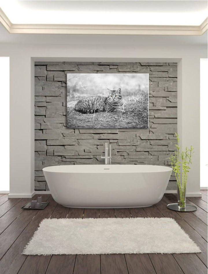 ruhende Katze auf Waldboden schwarz/weiss Format: 100x70 auf Leinwand, XXL riesige Bilder fertig ger