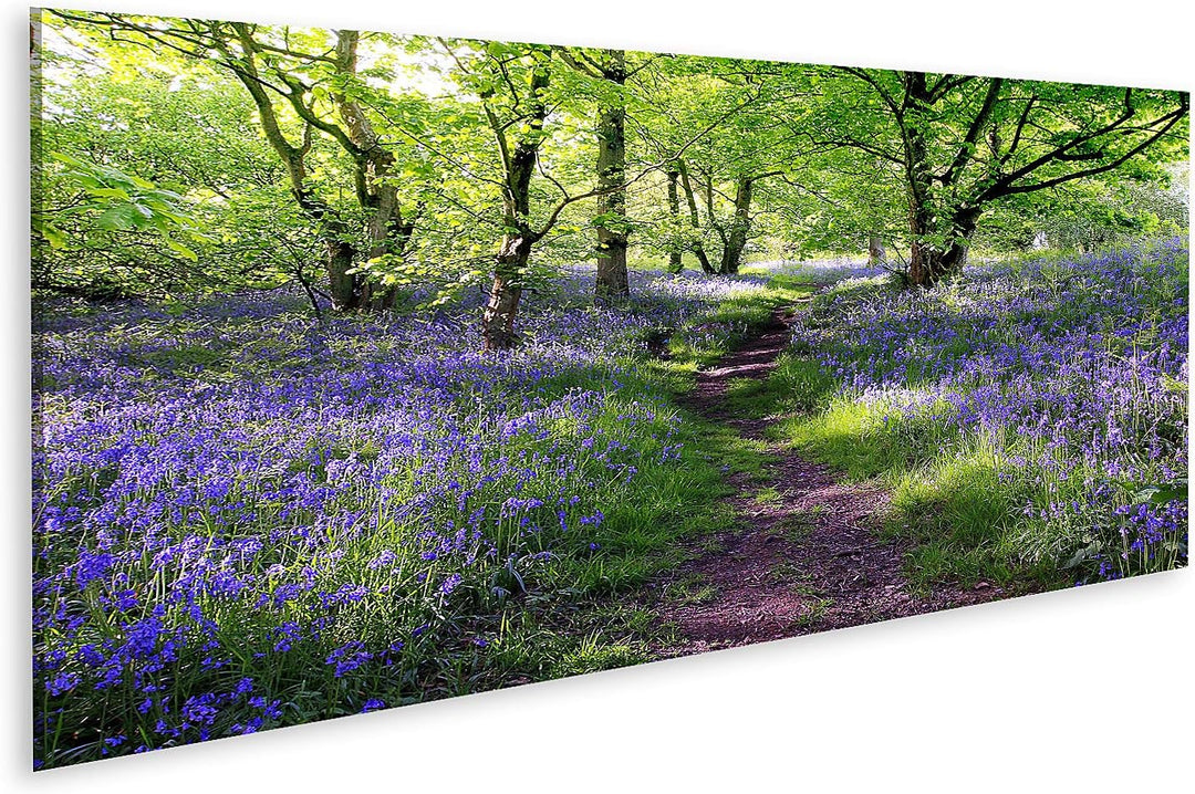 islandburner Bild auf Leinwand Blaue Glocken Wald In Schottland Bilder Wandbilder Poster Leinwand 12