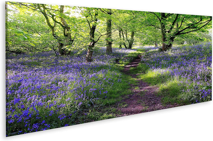 islandburner Bild auf Leinwand Blaue Glocken Wald In Schottland Bilder Wandbilder Poster Leinwand 12