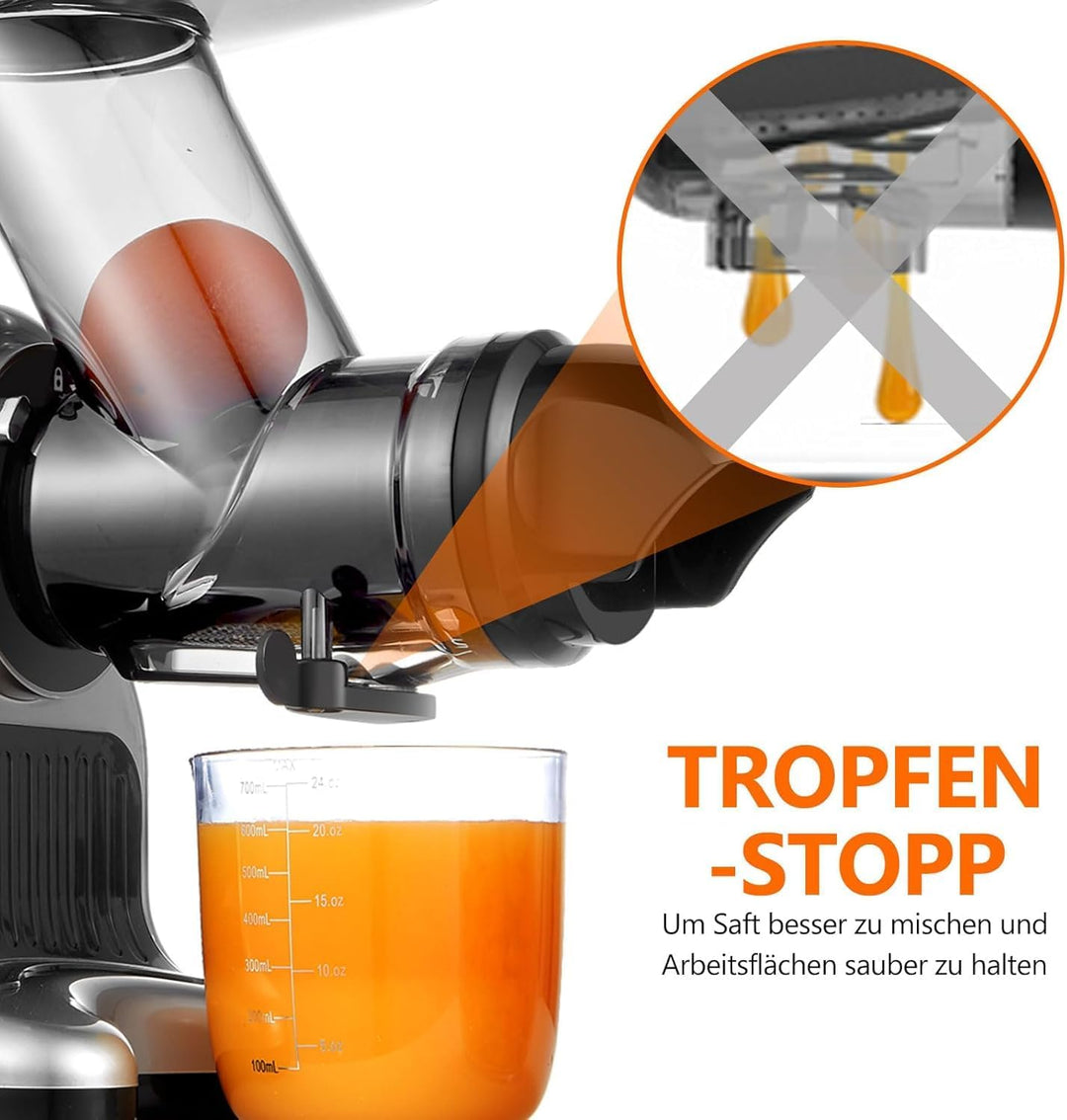 AMZCHEF Entsafter mit 80MM Grosser Einfüllschacht - 150W Entsafter Slow Juicer mit 2 Geschwindigkeit