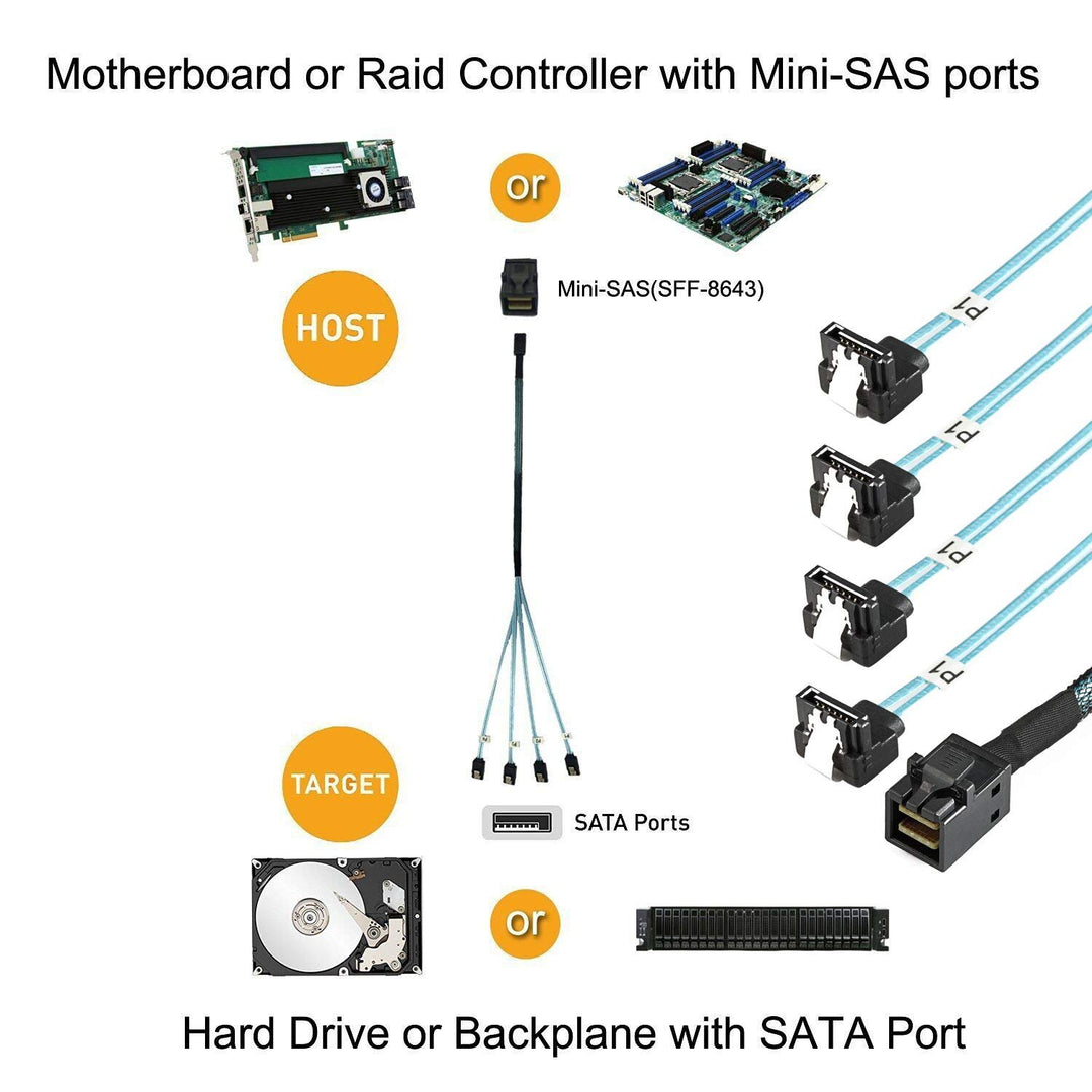 Cablecc Interner Mini-SAS-SFF-8643-Host auf abgewinkeltem 4-SATA-Zielfestplatten-6-Gbit/s-Datenserve