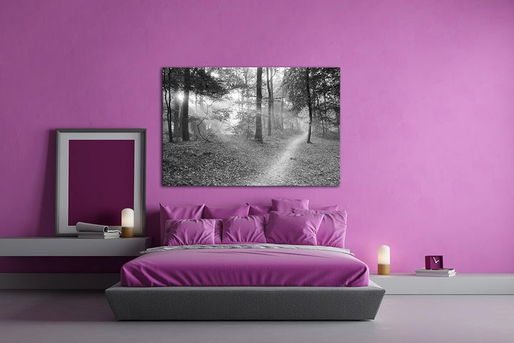deyoli ruhiger Waldweg Effekt: Schwarz/Weiss Format: 80x60 als Leinwand, Motiv fertig gerahmt auf Ec