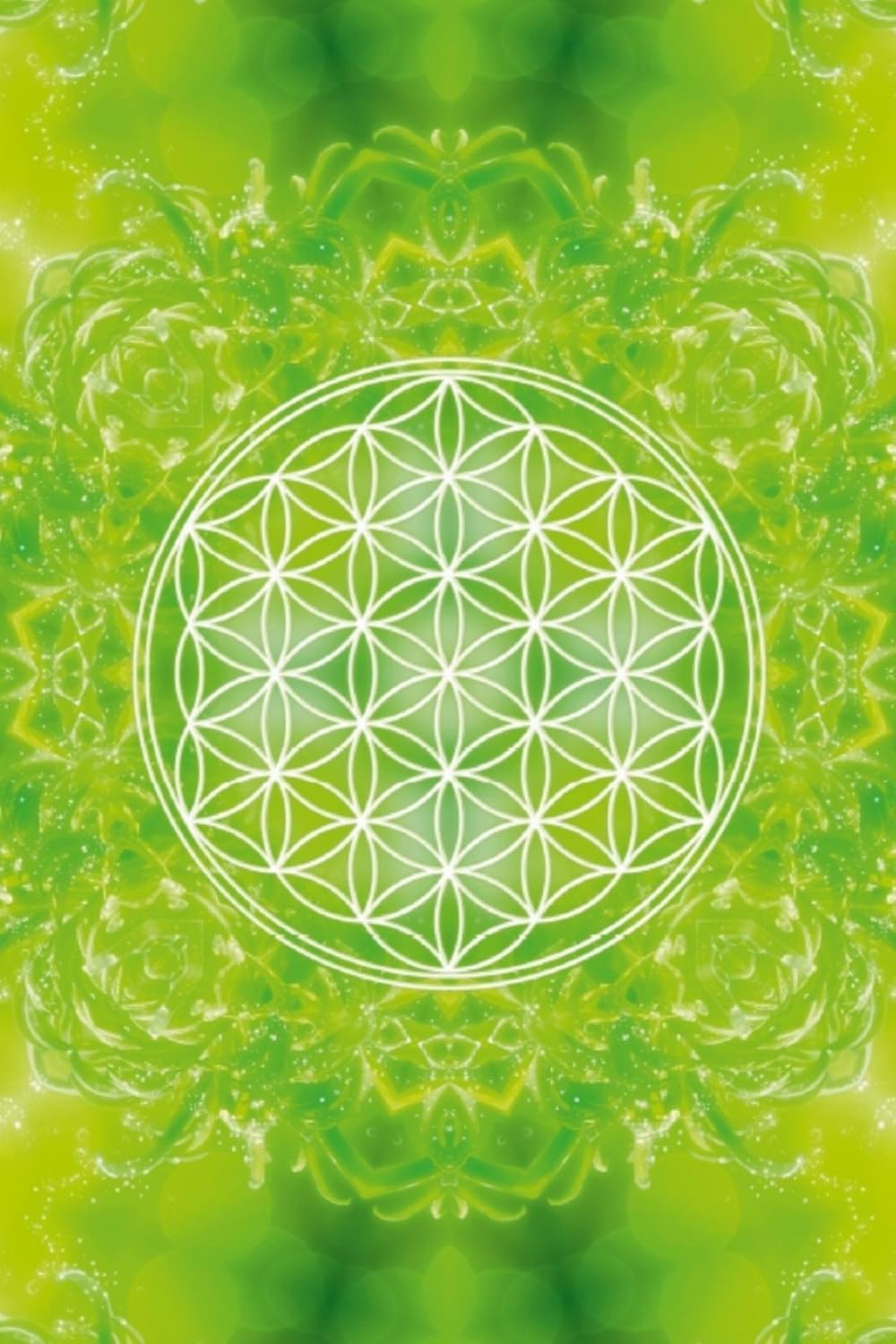 Premium Textil-Leinwand 30 x 45 cm Hoch-Format Blume des Lebens - Heilkraft Natur | Wandbild, HD-Bil