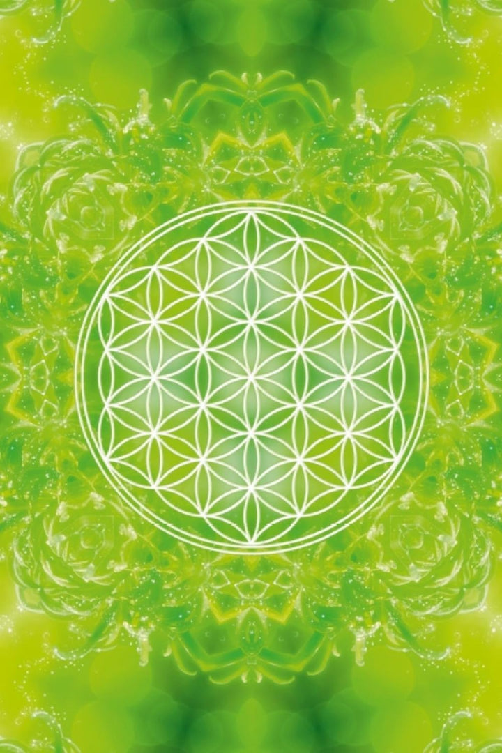 Premium Textil-Leinwand 30 x 45 cm Hoch-Format Blume des Lebens - Heilkraft Natur | Wandbild, HD-Bil