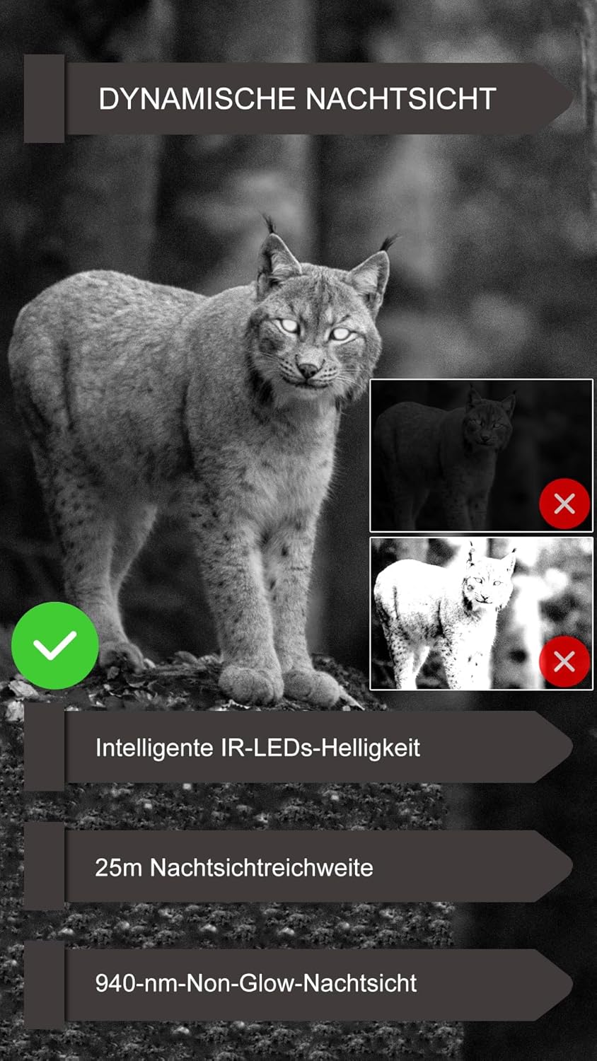 GardePro E6P Max Wildkamera WLAN, Wiederaufladbare 8000mAh Batterie, integrierte SD Karte, 64MP 1296