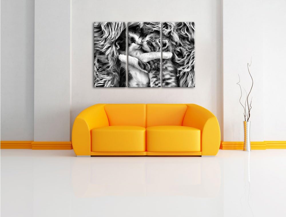 Pixxprint Zwei kuschelnde Kätzchen als Leinwandbild/Grösse: 3 Teilig (120x80) cm/Wandbild/Kunstdruck
